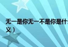 无一是你无一不是你是什么意思（无一是你无一不是你的含义）
