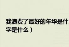 我浪费了最好的年华是什么歌（我浪费了最好的年华歌曲名字是什么）