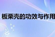 板栗壳的功效与作用（咳嗽可以吃板栗壳吗）
