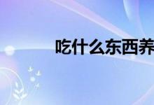 吃什么东西养胃（养胃的食物）