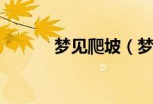 梦见爬坡（梦见爬坡寓意什么）