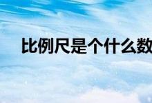 比例尺是个什么数（比例尺是一个比吗）