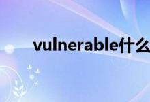 vulnerable什么意思（vulnerable）