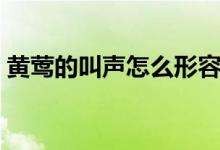 黄莺的叫声怎么形容（这五个成语最为贴切）