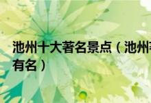 池州十大著名景点（池州著名旅游景点介绍池州哪些景点最有名）