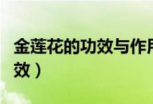 金莲花的功效与作用（主要有如下五个作用功效）