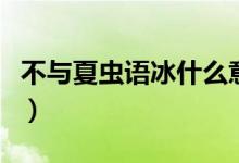 不与夏虫语冰什么意思（不与夏虫语冰的意思）