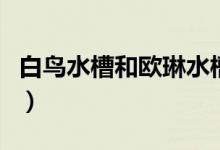 白鸟水槽和欧琳水槽哪个好（对比过后就知道）