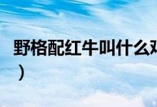 野格配红牛叫什么鸡尾酒（野格配红牛叫什么）