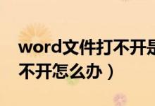 word文件打不开是怎么回事（Word文件打不开怎么办）
