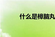 什么是樟脑丸（樟脑丸怎么用）