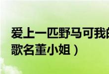 爱上一匹野马可我的家里没有草原是什么歌（歌名董小姐）