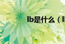 lb是什么（lb的意思是什么）