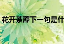 花开荼蘼下一句是什么（花开荼蘼原文介绍）