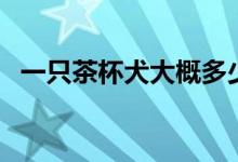 一只茶杯犬大概多少钱（价格有什么波动）