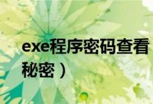 exe程序密码查看（windows下EXE文件的秘密）