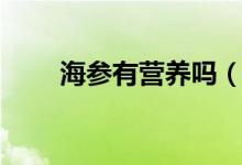 海参有营养吗（吃海参有什么好处）