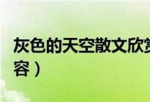 灰色的天空散文欣赏（灰色的天空散文欣赏内容）