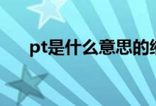 pt是什么意思的缩写（pt是什么意思）