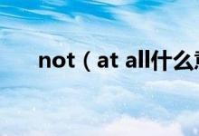 not（at all什么意思 not at all翻译）