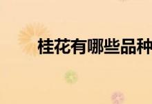 桂花有哪些品种（桂花的品种介绍）