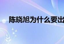 陈晓旭为什么要出家（陈晓旭个人简介）