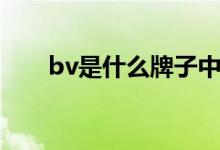 bv是什么牌子中文（bv是什么牌子）