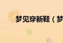 梦见穿新鞋（梦见穿新鞋什么意思）