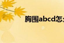 胸围abcd怎么分大小（胸围）