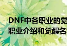 DNF中各职业的觉醒名称叫什么（DNF各种职业介绍和觉醒名称）