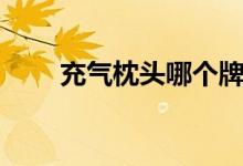 充气枕头哪个牌子好（要怎么充气）