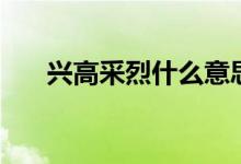 兴高采烈什么意思（兴高采烈的意思）