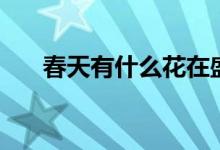 春天有什么花在盛开（春天有什么花）