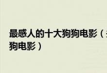 最感人的十大狗狗电影（关于狗的电影哪部最好看最催泪的狗电影）