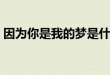 因为你是我的梦是什么歌（我的梦完整歌词）