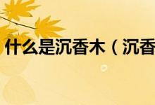 什么是沉香木（沉香木的功效与作用有哪些）