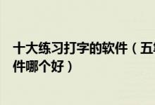 十大练习打字的软件（五笔打字练习软件推荐电脑练打字软件哪个好）