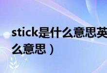 stick是什么意思英语翻译成中文（stick是什么意思）