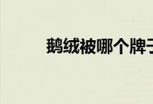 鹅绒被哪个牌子好（要怎么清洗）