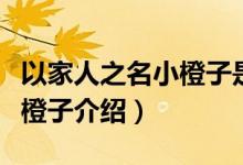 以家人之名小橙子是谁的孩子（以家人之名小橙子介绍）