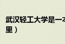武汉轻工大学是一本吗（武汉轻工大学位于哪里）