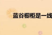 蓝谷橱柜是一线品牌吗（质量如何）