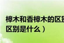 樟木和香樟木的区别有哪些（香樟木和樟木的区别是什么）