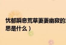 忧郁瞬息荒草萋萋幽寂的意思（忧郁瞬息荒草萋萋幽寂的意思是什么）
