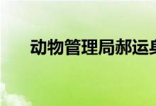 动物管理局郝运身世（是朱雀的儿子）