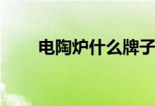 电陶炉什么牌子好用（能烤红薯吗）