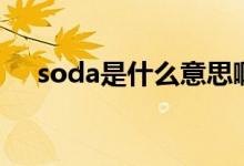 soda是什么意思啊（soda是什么意思）