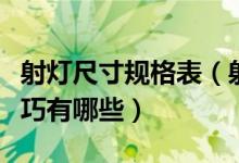 射灯尺寸规格表（射灯尺寸是多少射灯选购技巧有哪些）