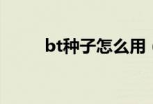 bt种子怎么用（bt种子怎么用呢）