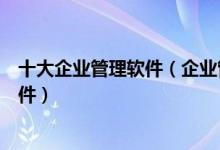 十大企业管理软件（企业管理软件哪个好用企业办公管理软件）